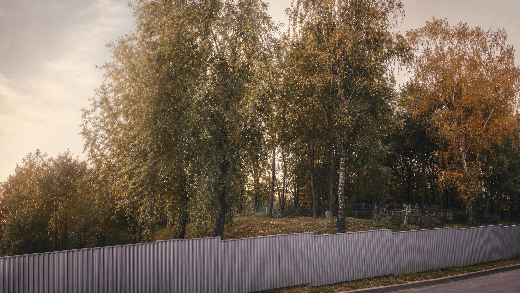 Авторская фотоиллюстрация общего вида Брилевского кладбища в Минске